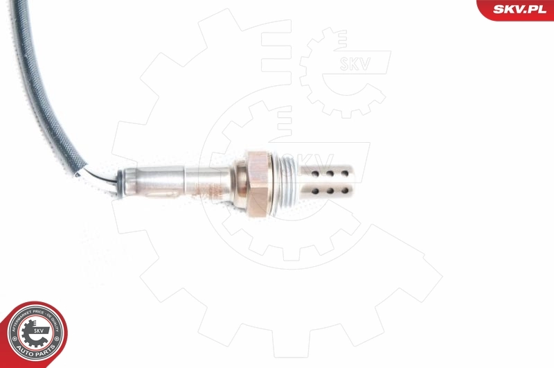 Oxygen Sensor
